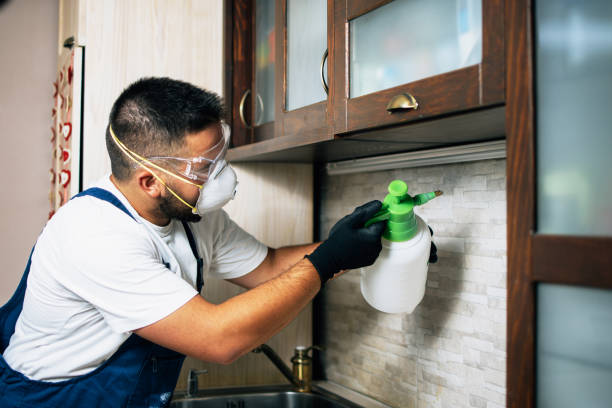 Best Local Pest Control Services  in Washington Park, FL