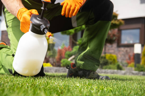 Best Affordable Pest Control Services  in Washington Park, FL