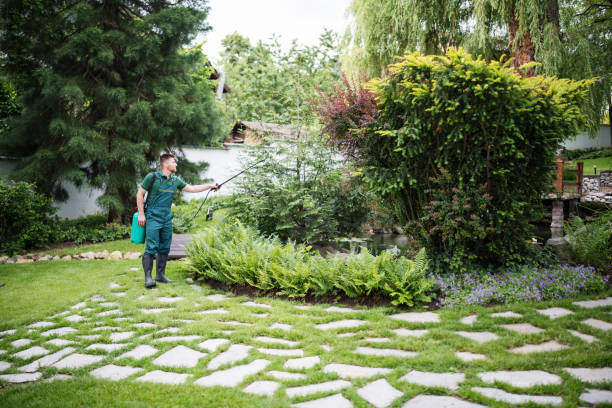 Best Best Pest Control Companies  in Washington Park, FL