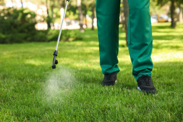 Best Emergency Pest Control  in Washington Park, FL