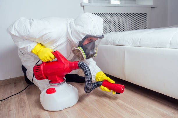 Best Ant Control Services  in Washington Park, FL