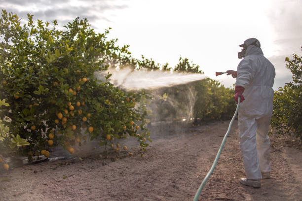 Washington Park, FL Pest Control Company