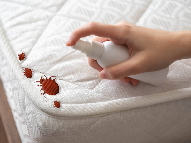  Washington Park, FL Pest Control Pros