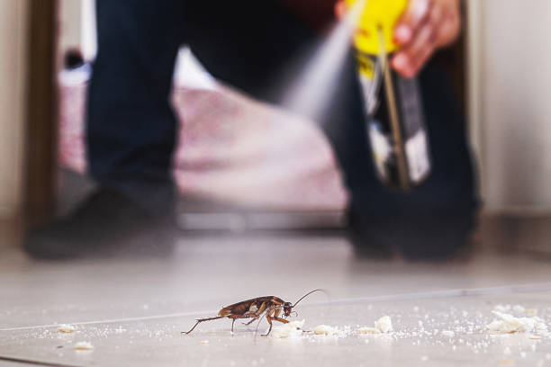 Pest Control for Restaurants in Washington Park, FL