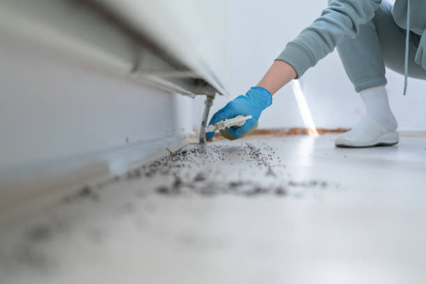Best Pest Inspection Near Me  in Washington Park, FL