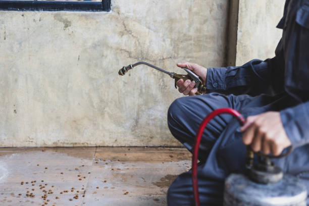Best Wasp Removal Services  in Washington Park, FL