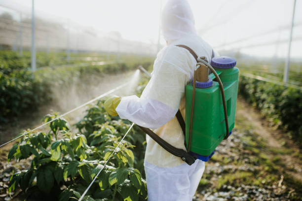 Best Pest Removal Services  in Washington Park, FL